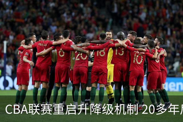CBA联赛重启升降级机制 20多年后正式回归
